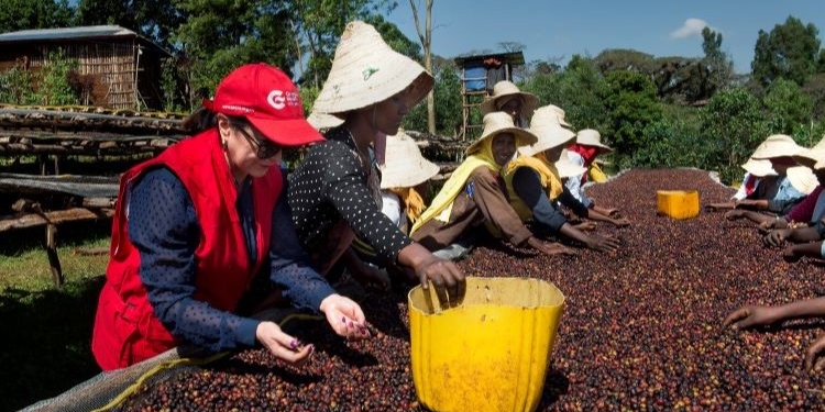 AECID inicia los trámites para recabar aportaciones externas al nuevo Estatuto del Cooperante