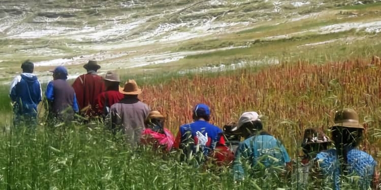 AECID impulsa la inclusión y los derechos de los pueblos indígenas de América Latina