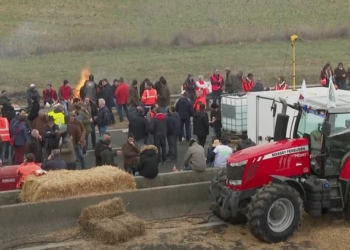El PP quiere que el Gobierno expliquen qué hace para detener los ataques a transportistas
