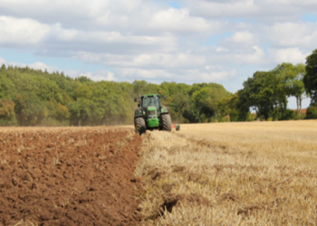 Agricultores y ganaderos recibirán hasta 3.386 millones de ayudas directas de la PAC