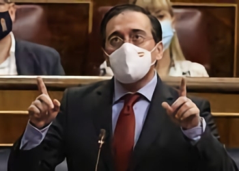 El ministro de Exteriores en el Congreso.