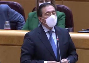 Albares asegura en el Senado que Zapatero y Rajoy ya avalaron la autonomía para el Sáhara