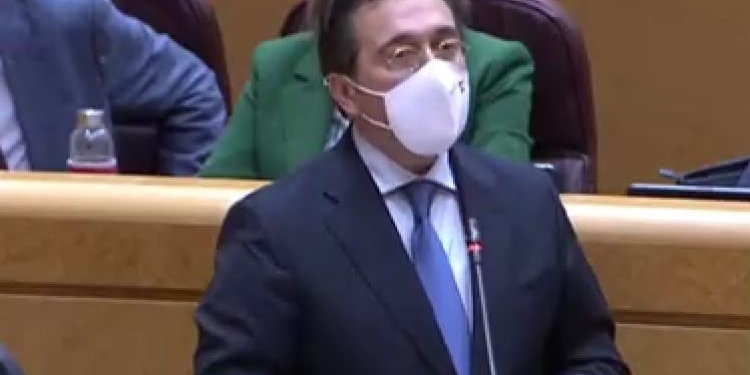 Albares asegura en el Senado que Zapatero y Rajoy ya avalaron la autonomía para el Sáhara