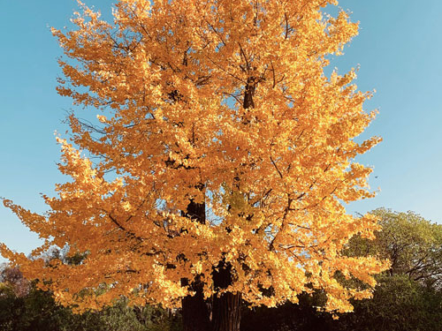 España e Italia se unen para intercambiar estrategias e impulsar el sector tecnológico