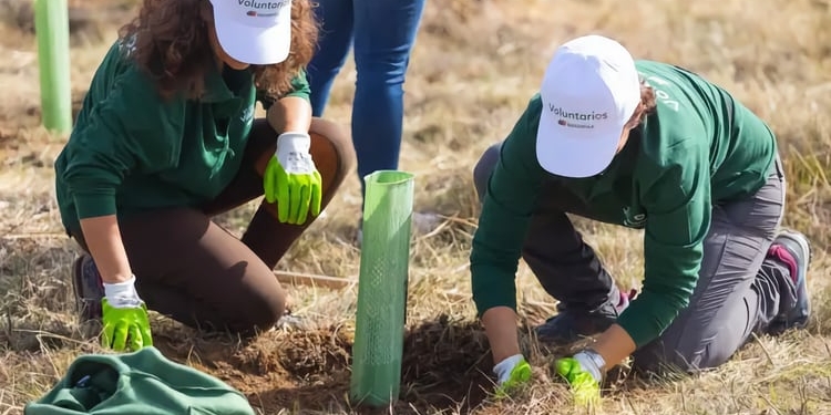 Iberdrola ha plantado ya 3,4 millones de árboles en todo el mundo