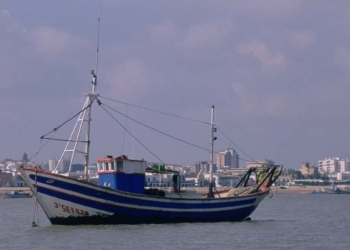 La pesca española se enfrenta al conflicto del transporte en Mauritania