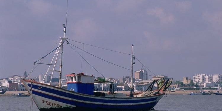 La pesca española se enfrenta al conflicto del transporte en Mauritania