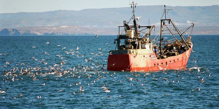 La pesca está considerada como una de las profesiones más peligrosas en el mundo.