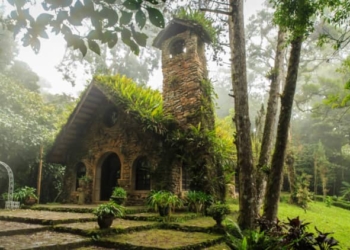 El turismo internacional consolida su fuerte recuperación frente a crecientes desafíos