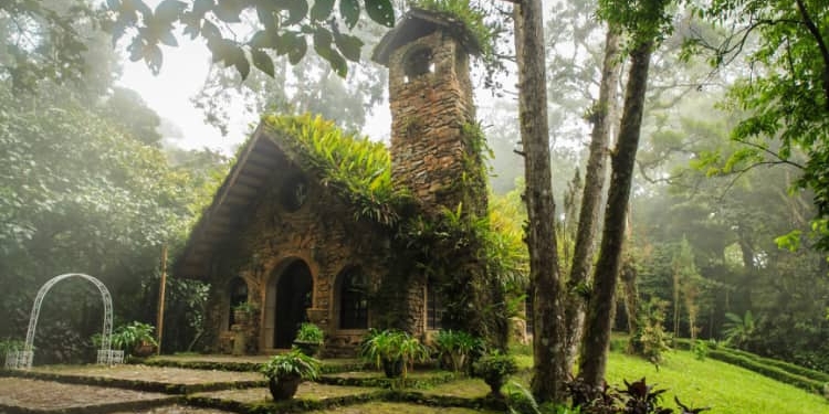 El turismo internacional consolida su fuerte recuperación frente a crecientes desafíos