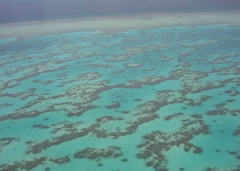 Exteriores y Transición Ecológica chocan por la Gran Barrera de Coral australiana
