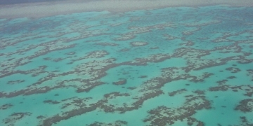 Exteriores y Transición Ecológica chocan por la Gran Barrera de Coral australiana