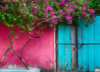 La OMT abre la convocatoria para la tercera edición de Best Tourism Villages