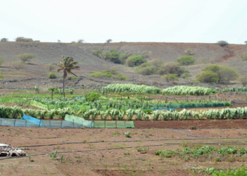 El proyecto beneficia directamente a 57 familias de agricultores.