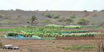 El proyecto beneficia directamente a 57 familias de agricultores.