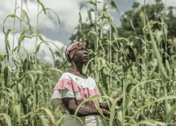 España ha aportado sólo el 1% de los fondos comprometidos contra el cambio climático