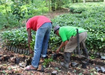 FONPRODE aporta casi 30 millones de euros al desarrollo rural en Dominicana y Níger