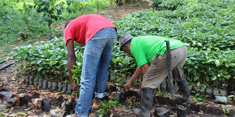 FONPRODE aporta casi 30 millones de euros al desarrollo rural en Dominicana y Níger
