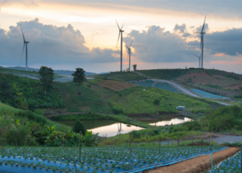 España albergará en 2023 la próxima Conferencia Internacional de Energías Renovables
