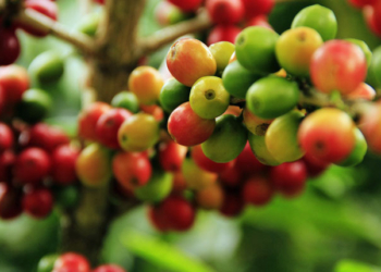 España e Italia se unen para intercambiar estrategias e impulsar el sector tecnológico