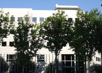 El Consejo de Ministros ratifica el acuerdo de sede entre España y el Consejo Oleícola Internacional