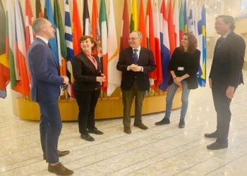 Diputados españoles acuden al VII Pleno de la Conferencia sobre el Futuro de Europa