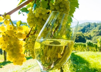 La OMT apostará por la sostenibilidad en la 7ª Conferencia Mundial sobre Enoturismo