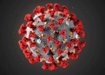 España apoyará la propuesta de la UE para que la OMS investigue el origen del COVID-19