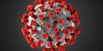 España apoyará la propuesta de la UE para que la OMS investigue el origen del COVID-19