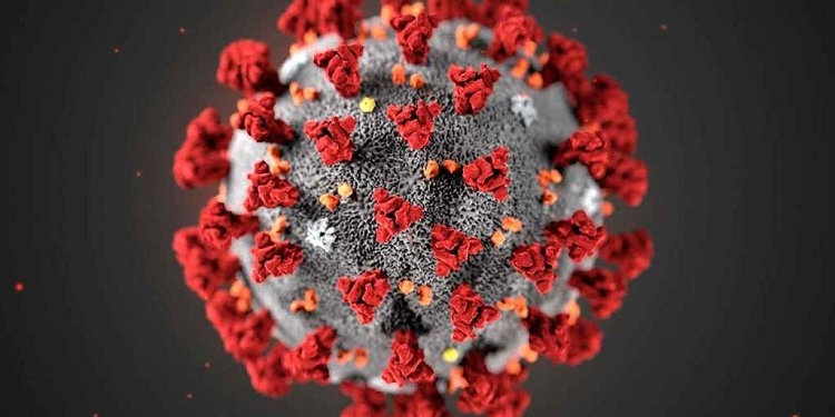 España apoyará la propuesta de la UE para que la OMS investigue el origen del COVID-19