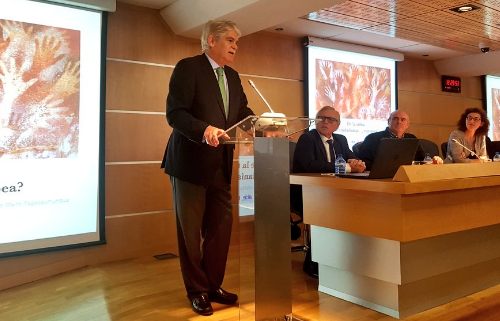 Dastis intensifica la diplomacia para contrarrestar «las mentiras de la Generalitat»