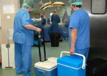 España renueva su contribución de 320.000 euros al Programa de Trasplantes de la OMS