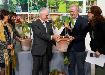 Ecuador entrega al Jardín Botánico la primera planta de cacao “fino aroma”