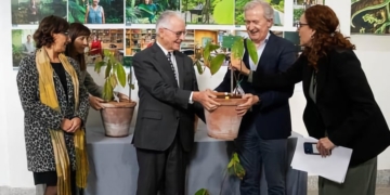 Ecuador entrega al Jardín Botánico la primera planta de cacao “fino aroma”
