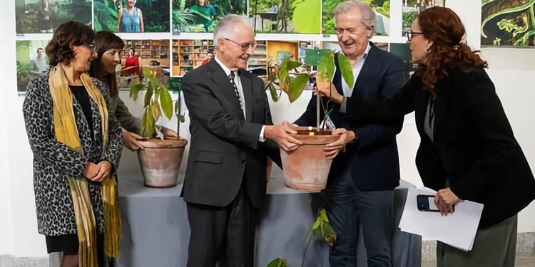 Ecuador entrega al Jardín Botánico la primera planta de cacao “fino aroma”