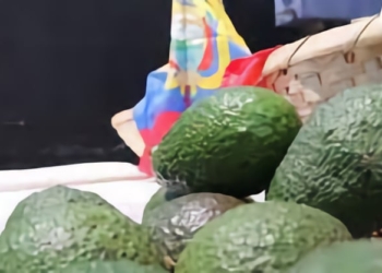 Las exportaciones de Ecuador hacia España crecieron un 36,9% en 2021