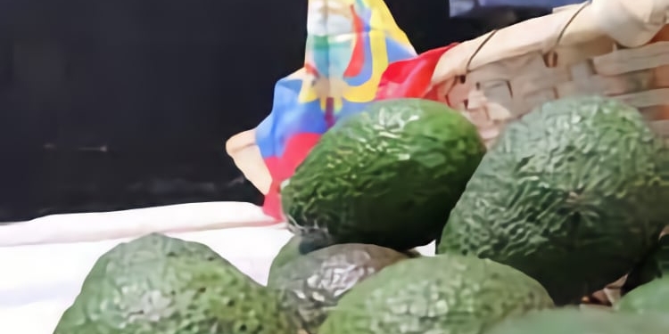 Las exportaciones de Ecuador hacia España crecieron un 36,9% en 2021