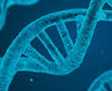 Mesa redonda sobre la epigenética y la salud en Casa América