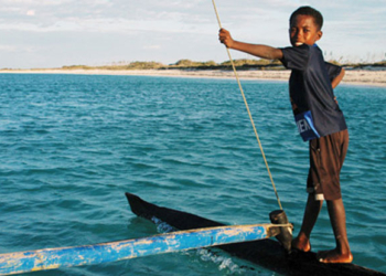 Debido al tamaño de las poblaciones de los PEID, el costo de las vacunaciones masivas sería pequeño y, sin embargo, los beneficios serían significativos.