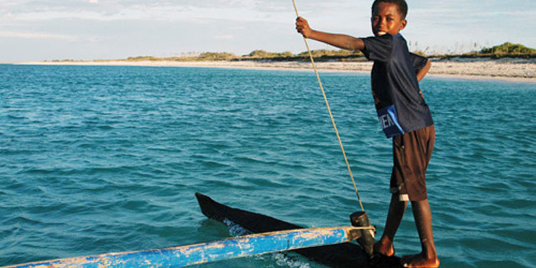 Debido al tamaño de las poblaciones de los PEID, el costo de las vacunaciones masivas sería pequeño y, sin embargo, los beneficios serían significativos.
