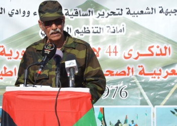 La ministra de Exteriores afirma que con Ghali se siguieron “todos los protocolos”