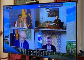 González Laya y su homólogo brasileño eluden el tema venezolano en una videoconferencia