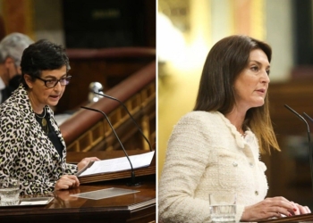 La ministra de Exteriores asegura en el Congreso que la acogida de Ghali no tuvo “connotaciones políticas”