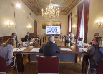 Grande-Marlaska agradece la labor de los agregados de seguridad en las Embajadas durante el COVID