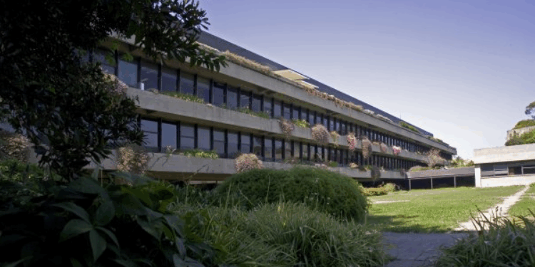 Lisboa será sede de una conferencia dedicada a los 800 millones de hablantes hispano-lusos