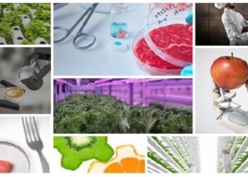 ICEX impulsa en Países Bajos a las empresas alimentarias españolas más innovadoras