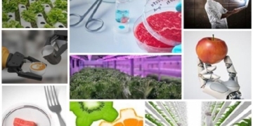 ICEX impulsa en Países Bajos a las empresas alimentarias españolas más innovadoras