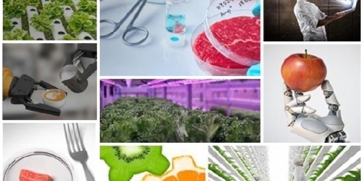 ICEX impulsa en Países Bajos a las empresas alimentarias españolas más innovadoras