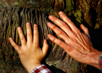 Naturaleza para los sentidos