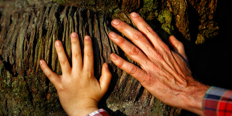 Naturaleza para los sentidos